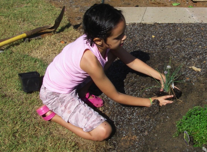 Learning how to plant herbs and veggies